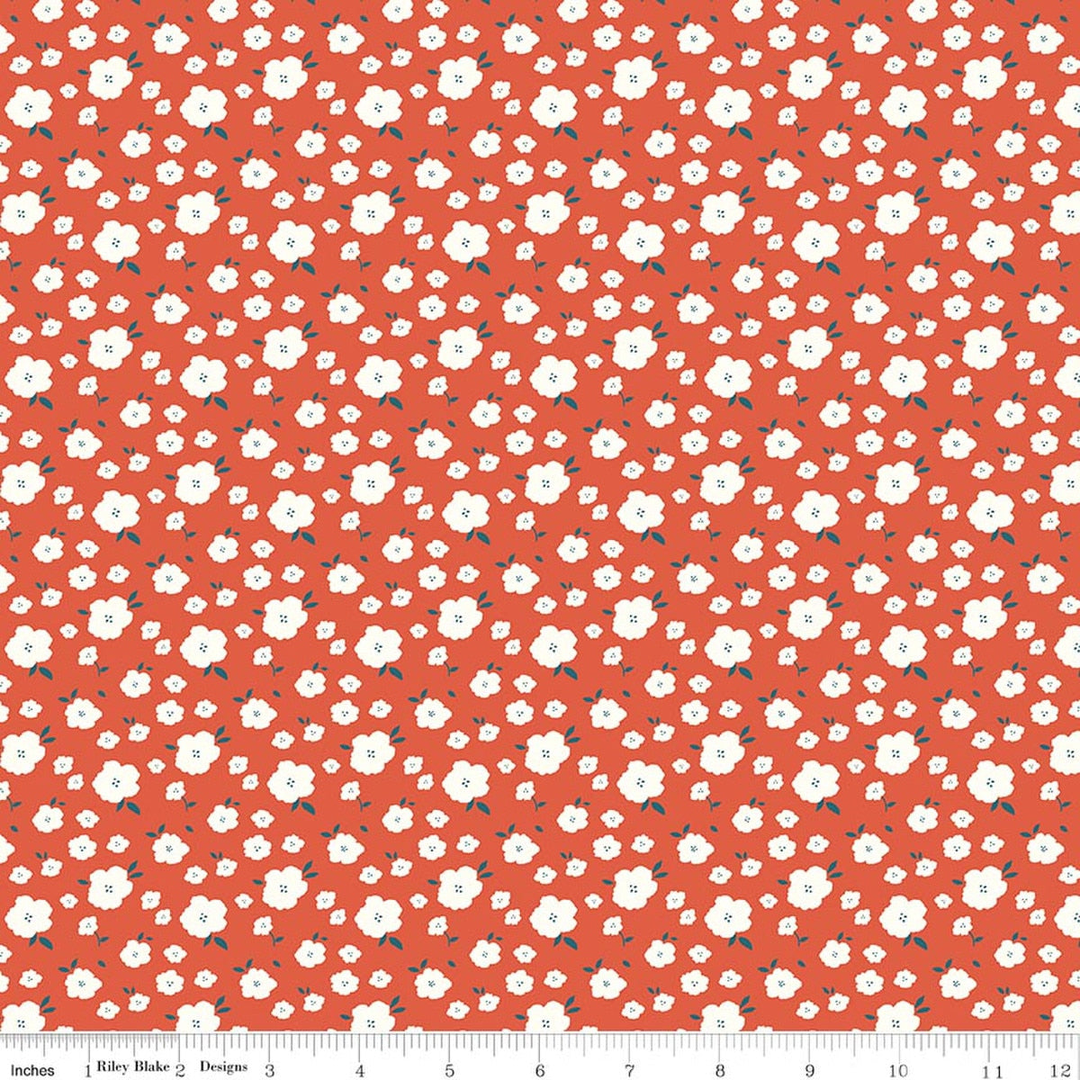 Serendipity 2 Flower Bed Orange