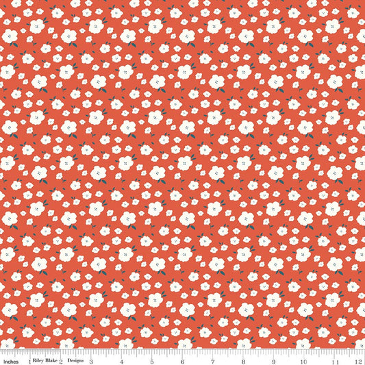 Serendipity 2 Flower Bed Orange