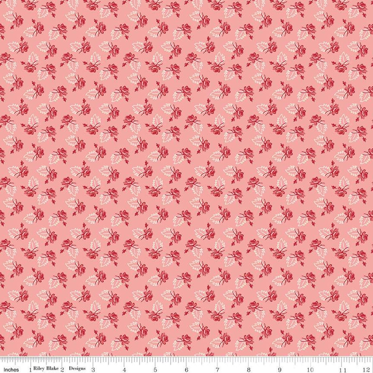 Rose Coral