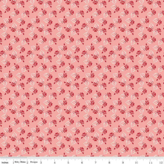 Rose Coral